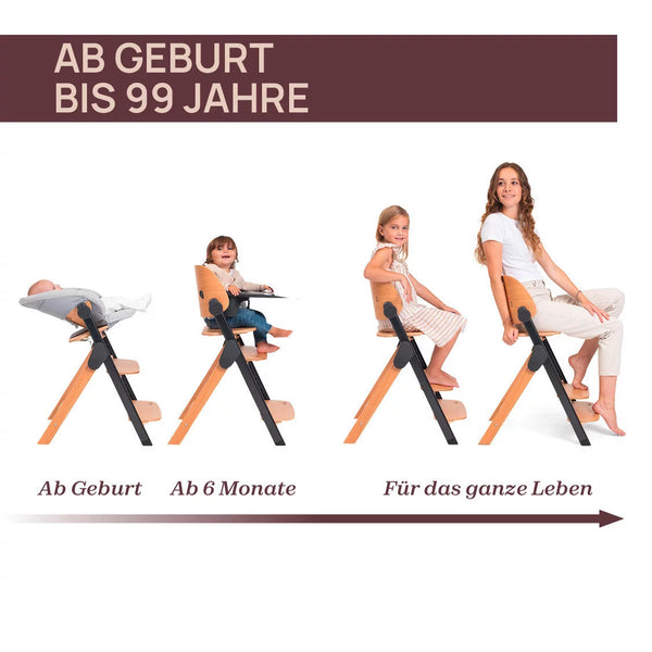 Chicco Hochstuhl Meraviglia Buche/Black 4in1