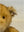 Steiff Teddybär Petsy 1928