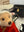 Steiff Teddybär Wolfgang Amadeus Mozart