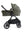 Joie Signature Finiti Evergreen
