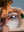 Maxi Cosi Indigo Plus Babybadewanne mit Neugeboreneneinsatz Muted Terra