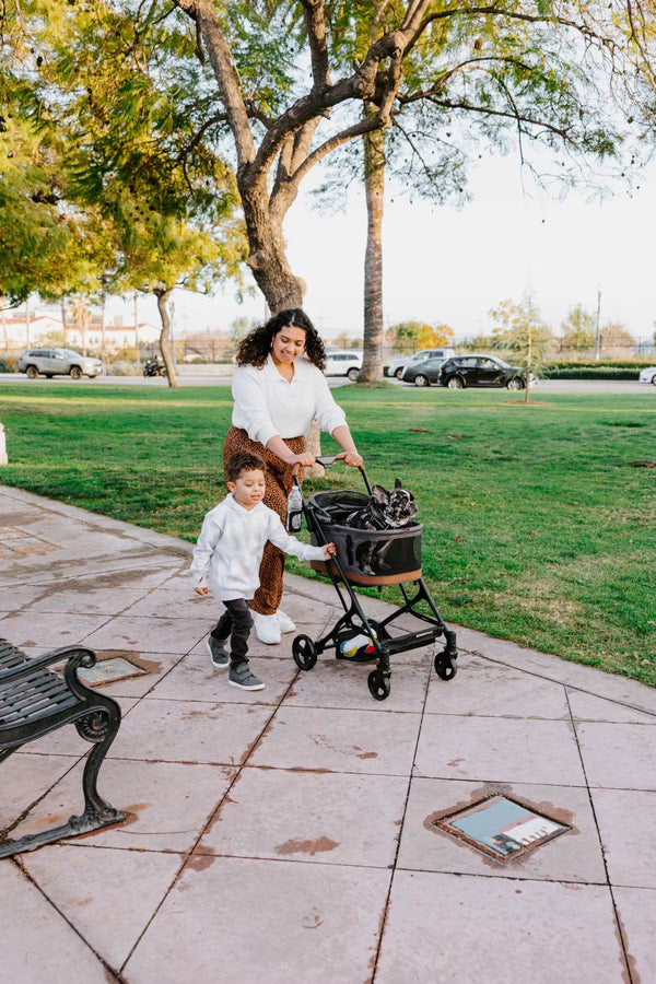 Wonderfold P2 Pet Stroller Grau