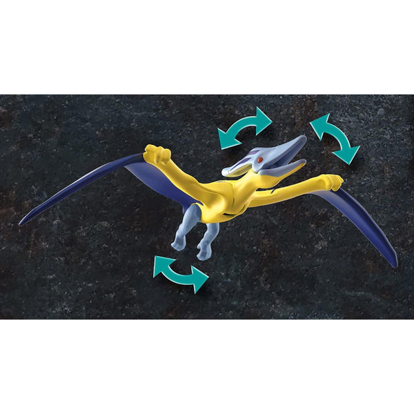 Playmobil 70628