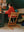 Stokke Tripp Trapp Wild Wood