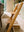 Stokke Tripp Trapp Wild Wood