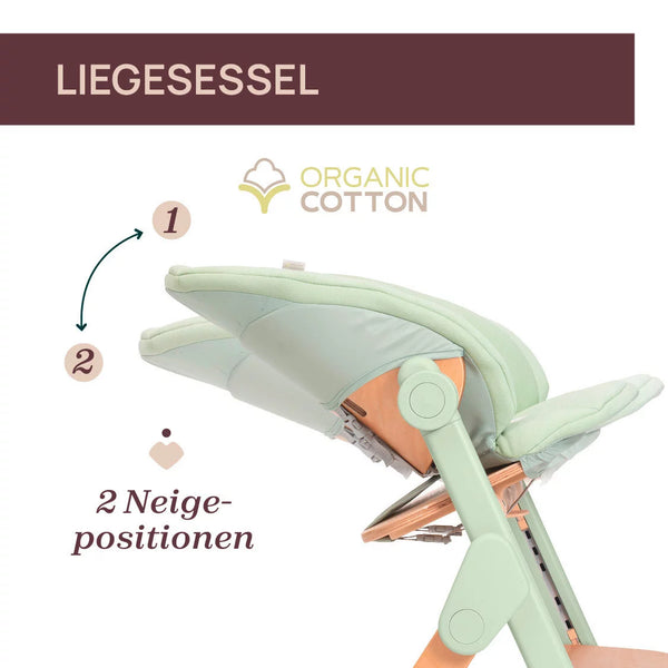 Chicco Hochstuhl Meraviglia Buche/Green 4in1