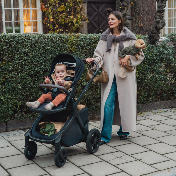 Nuna Demi Icon 4in1 Chestnut + Zubehör (Cybex)