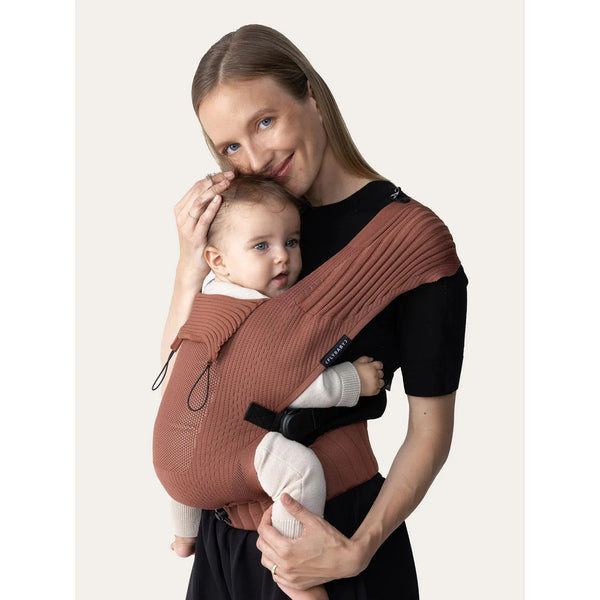 Flybaby Terra