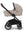 Nuna Mixx Next 4in1 Chateu + Zubehör (Base Curv) Vorbestellung